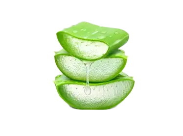 herbal hair oil